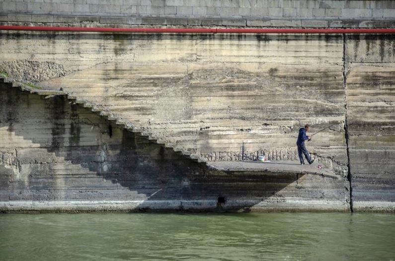 Global Surge in Violence Against Environmental Journalists Threatens Climate Reporting