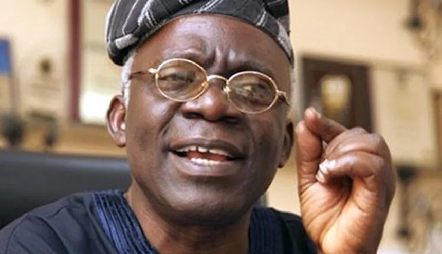 Prominent Nigerian Rights Lawyer Femi Falana Urges Government to Drop Criminal Charges Against Journalists and Critics