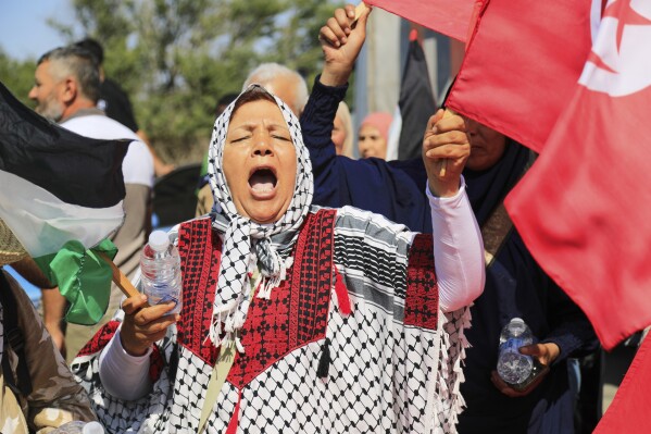 Indian Journalist Among Hundreds Detained During Pro‑Palestine March Crackdown in Egypt