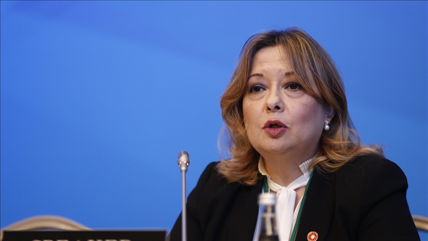 Turkish Envoy Presses UNESCO for Equal Condemnation of Journalist Killings in Gaza