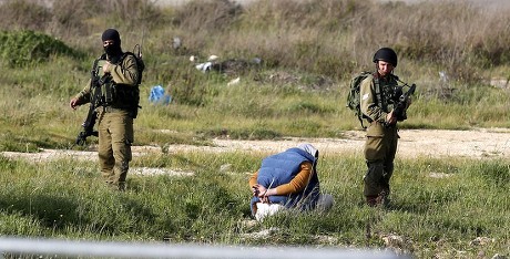 Palestinian Journalist Detained by Israeli Forces