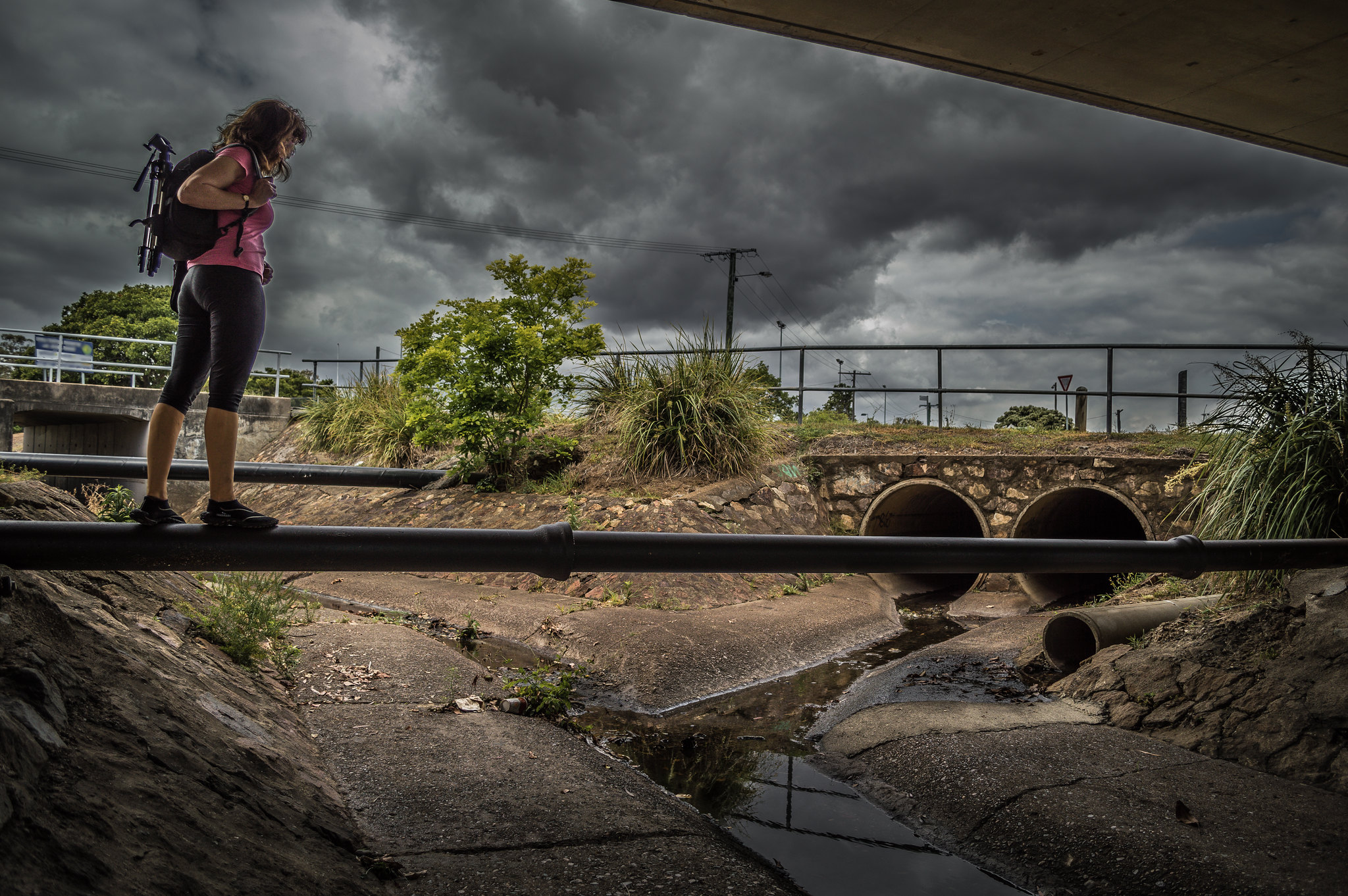 Environmental Journalists Navigate Rising Risks in a Changing Media Landscape